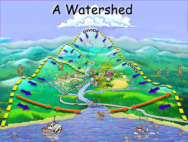 what-is-a-watershed